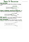 Process of Replication 