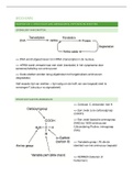 Samenvatting biochemie 2BA