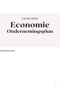 ondernemingsplan economie