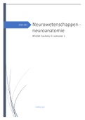 Neurowetenschappen - neuroanatomie - Menovsky - 2020/2021