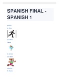 SPANISH FINAL - SPANISH 1