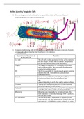 BIOS 242 Week 2 Assignment; Cells