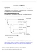 Activity 5.2 Phylogenetics SU21 Student version