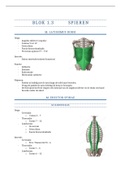 Samenvatting  Anatomie in VIVO blok 1.3 (AIV1.3)