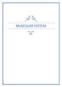 Muscular system