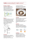 NaSk 2 moeilijk? Overzichtelijke samenvatting voor het hoofdstuk stoffen sorteren! 3e leerjaar MAVO