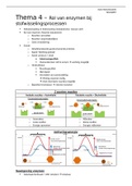 Biologie thema 4: Rol van enzymen bij stofwisselingsprocessen