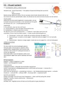 Samenvatting Neurofysiologie (B-KUL-E08C0A)