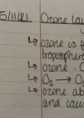 Summary of Ozone Layer and Depletion.