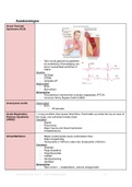 Overzicht CAT 2 minor comprehensive care and anatomy 