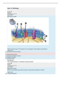 Straighterline bio 201l Quiz 3 Cell Biology 2023