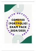 COM3703 PORTFOLIO EXAM PACK 2024/2025