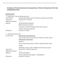 Anatomy of inter tarsal joints and surgical lines of foot (Golden notes)