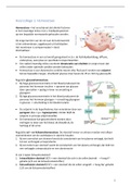 Samenvatting  Fysiologie