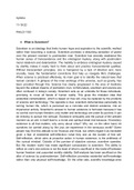 Essay  PHILO-1100 