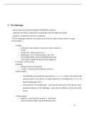 Anatomy of Diaphragm (Golden notes)