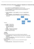 Definition and structures of the superior mediastinum,Topography and  developmental stages of the thymus (Golden notes)