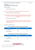 BIO202L Lab 14  The Urinary System  questions and answers