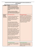 A* Essay Plan Individual Ministerial Responsibility and Collective Responsibility 