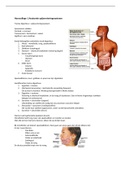 Aantekeningen HC1 Anatomie spijsverteringssysteem, vorm en functie 