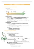 Thema 3 - modificaties en mutaties