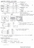 ECON102A Midterm / Final Study Guides