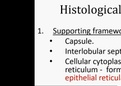 Histology of Thymus 