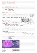 Lecture 2 Overview of the Nervous system 