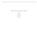 (Solution) Strategies for Workforce Improvement in Health Care HCA MHA/543