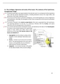 Anatomy of larynx -muscles , innervation and cartilages