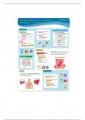 NUR 1212C UC and Crohn's Disease Template 