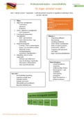 Fiche 10 Eigen initiatief model