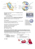 Samenvatting Biologie hoofdstuk 2 Cellen van 10VoorBiologie