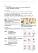 Samenvatting Biologie hoofdstuk 3 Deling, groei en ontwikkeling van 10VoorBiologie