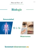 Biologie Zenuwstelsel en Waarnemen