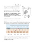 Molecular Basis of Diseases Summary + Exam Materials