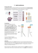 Nanomaterials Summary + Exam Materials