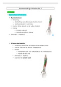 Samenvatting module 1: anatomie les 7