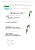 Samenvatting  module 1: Anatomie les 6