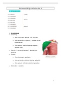 Samenvatting module 1: anatomie les 5