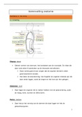 Samenvatting module 2: anatomie (de romp)