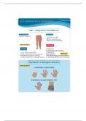 Nur 3125 DVT, Raynauds & Buergers Template 