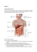 Summary BBS2041 - Human Intermediary Metabolism (all practicals included)