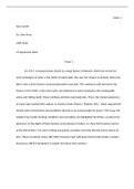 Essay 1 AMH2020