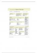 NUR 265 Acute Kidney Injury ATI Template