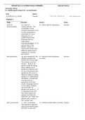 STROKE SCA 411-STROKE SCALE ANSWERS