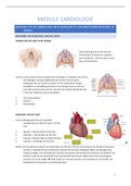 Samenvatting module cardiologie