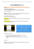 Intercultural Communication Skills summary: Module 1-3