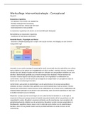 Werkcollege aantekeningen Interventiestrategie (AIV-V2IS-22)