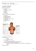 Samenvatting anatomie en fysiologie H16